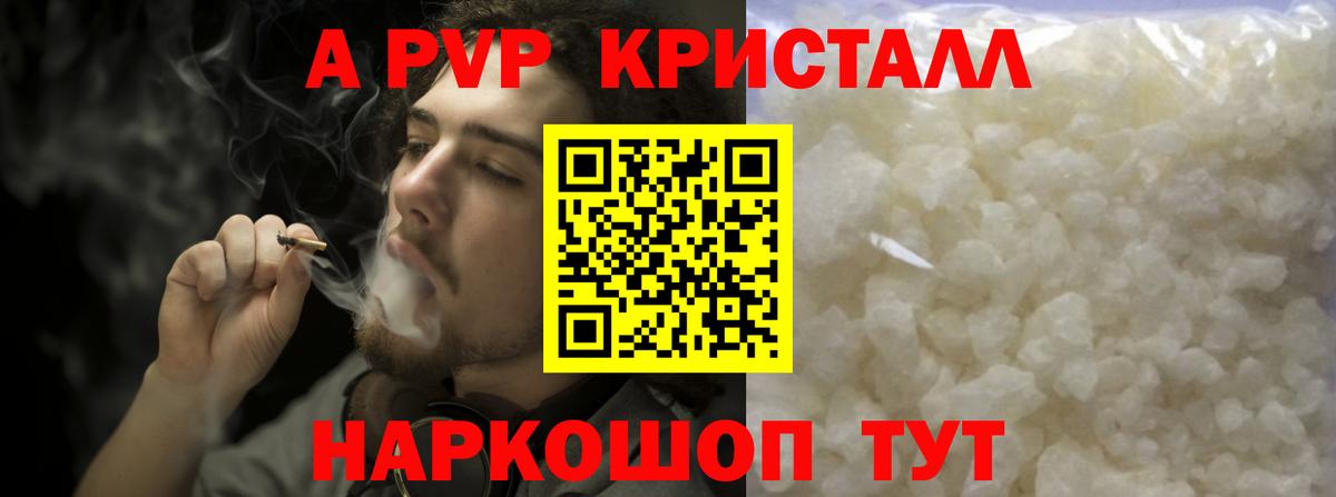 A-PVP СК КРИС Калининград