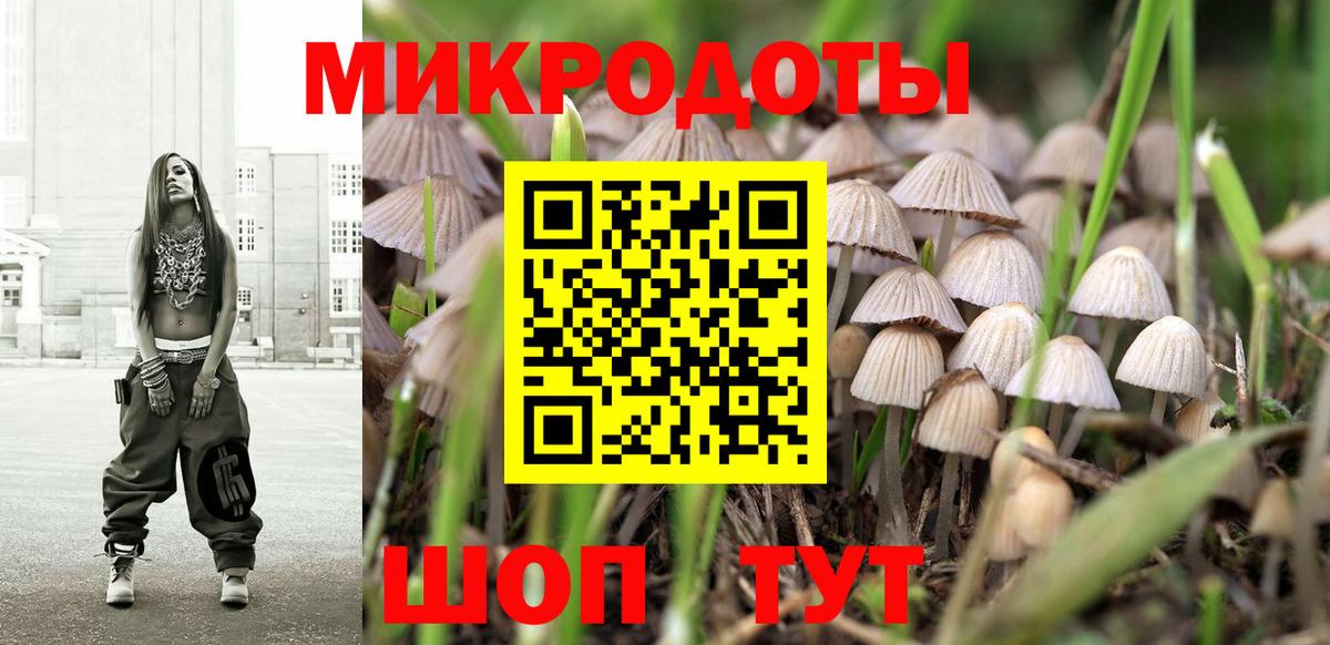 Псилоцибиновые грибы MAGIC MUSHROOMS  Вход с VPN  Калининград 