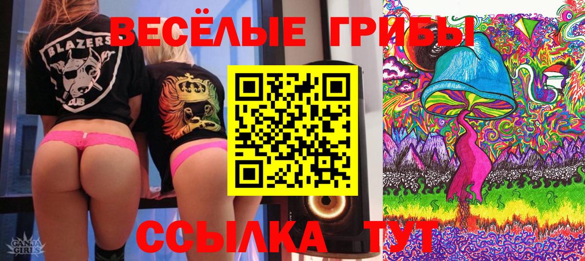 Галлюциногенные грибы Psilocybe Калининград